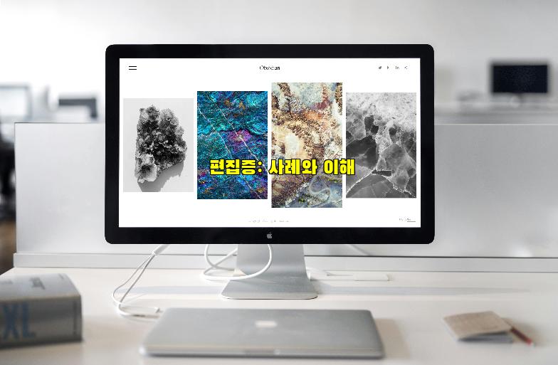 편집증: 사례와 이해