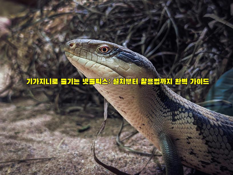 기가지니로 즐기는 넷플릭스: 설치부터 활용법까지 완벽 가이드