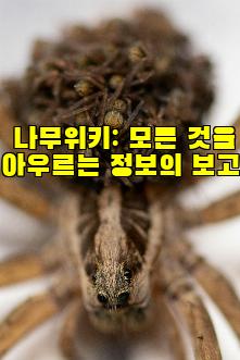 나무위키: 모든 것을 아우르는 정보의 보고