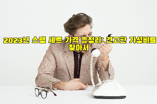 2023년 스팸 세트 가격 총정리: 견고한 가성비를 찾아서
