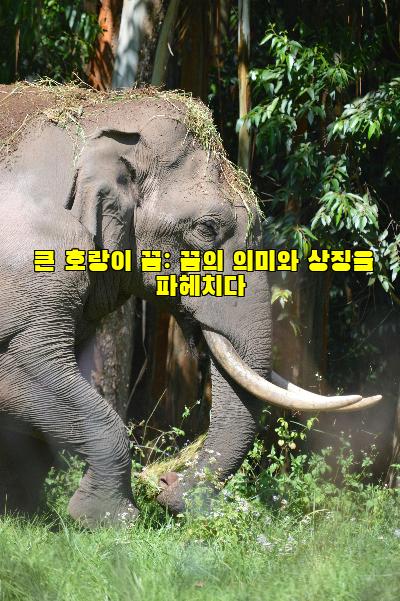 큰 호랑이 꿈: 꿈의 의미와 상징을 파헤치다