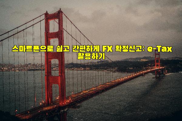 스마트폰으로 쉽고 간편하게 FX 확정신고: e-Tax 활용하기