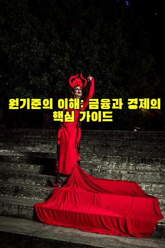 원기준의 이해: 금융과 경제의 핵심 가이드