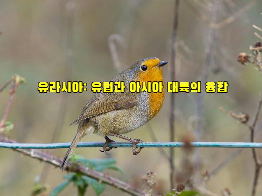 유라시아: 유럽과 아시아 대륙의 융합