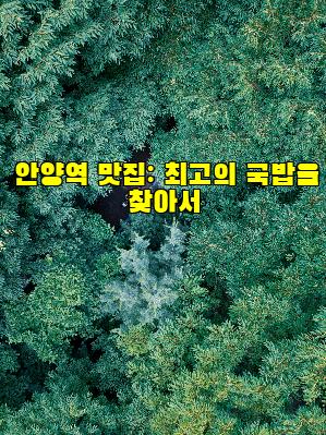 안양역 맛집: 최고의 국밥을 찾아서