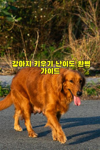 강아지 키우기 난이도 완벽 가이드