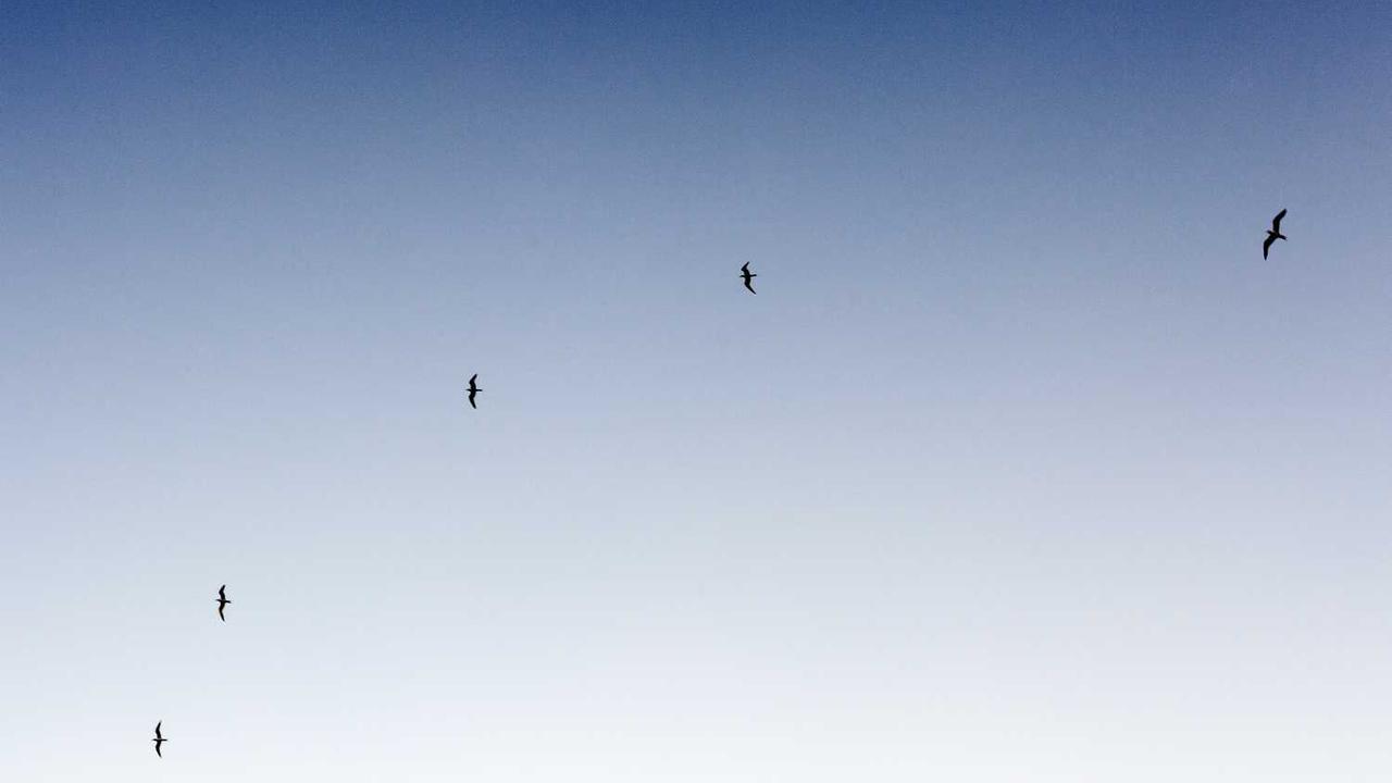 용인시 하수도사업소 민원 해결 가이드: 막힘 신고부터 요금 조회, 정화조 청소까지 완벽 정리