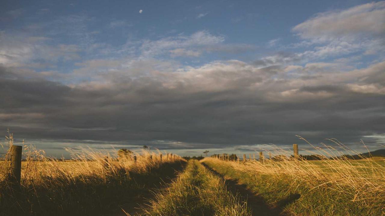 대구 내성발톱 병원 추천 및 치료 가이드: 수술 없는 교정부터 실비 보험 적용까지