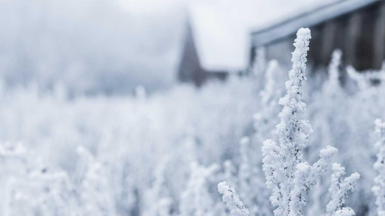 경주 바닷가 횟집 추천: 감포항부터 양남까지, 현지인 단골 오션뷰 맛집 & 주문 가이드