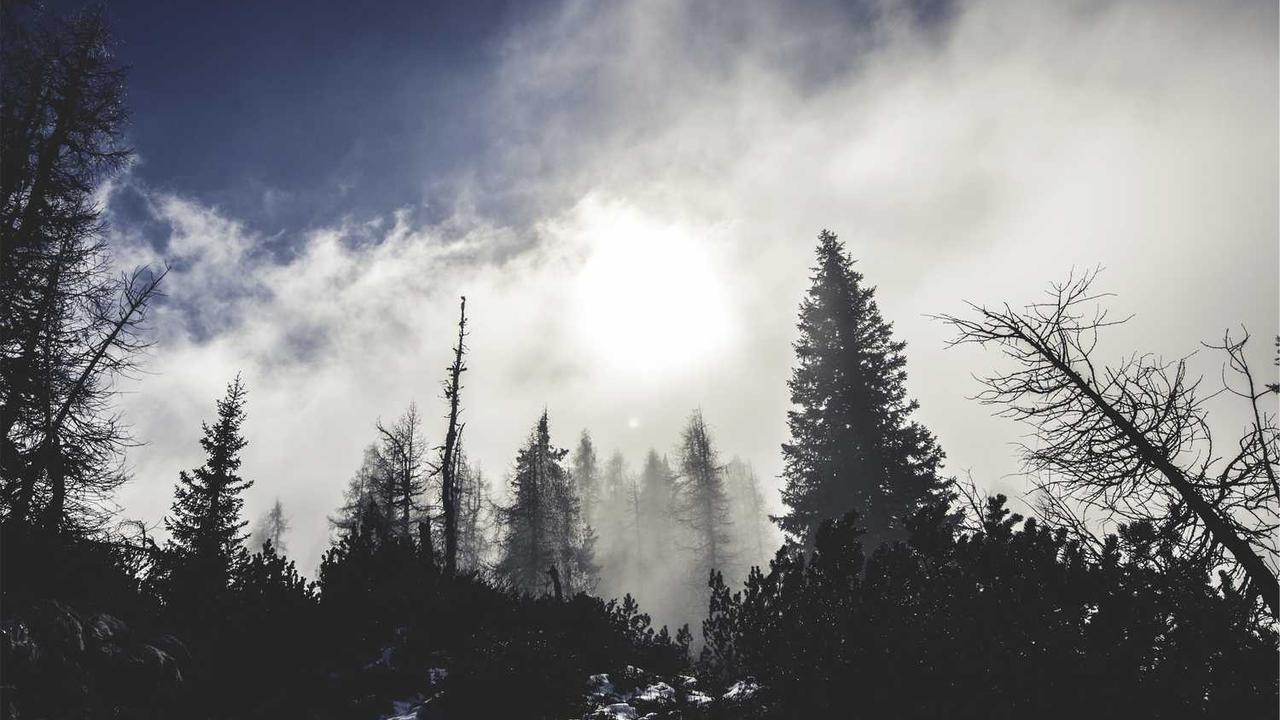 서브 주인공(Sub Main Character) 완벽 가이드: 주인공만큼 사랑받는 2인자 캐릭터 만드는 법