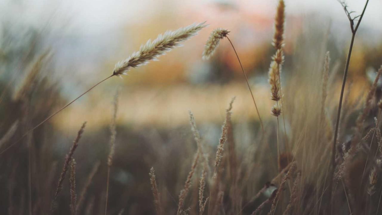 장례식장 복장 청바지, 검은색은 괜찮을까? 급할 때 대처법 및 조문 예절 완벽 정리