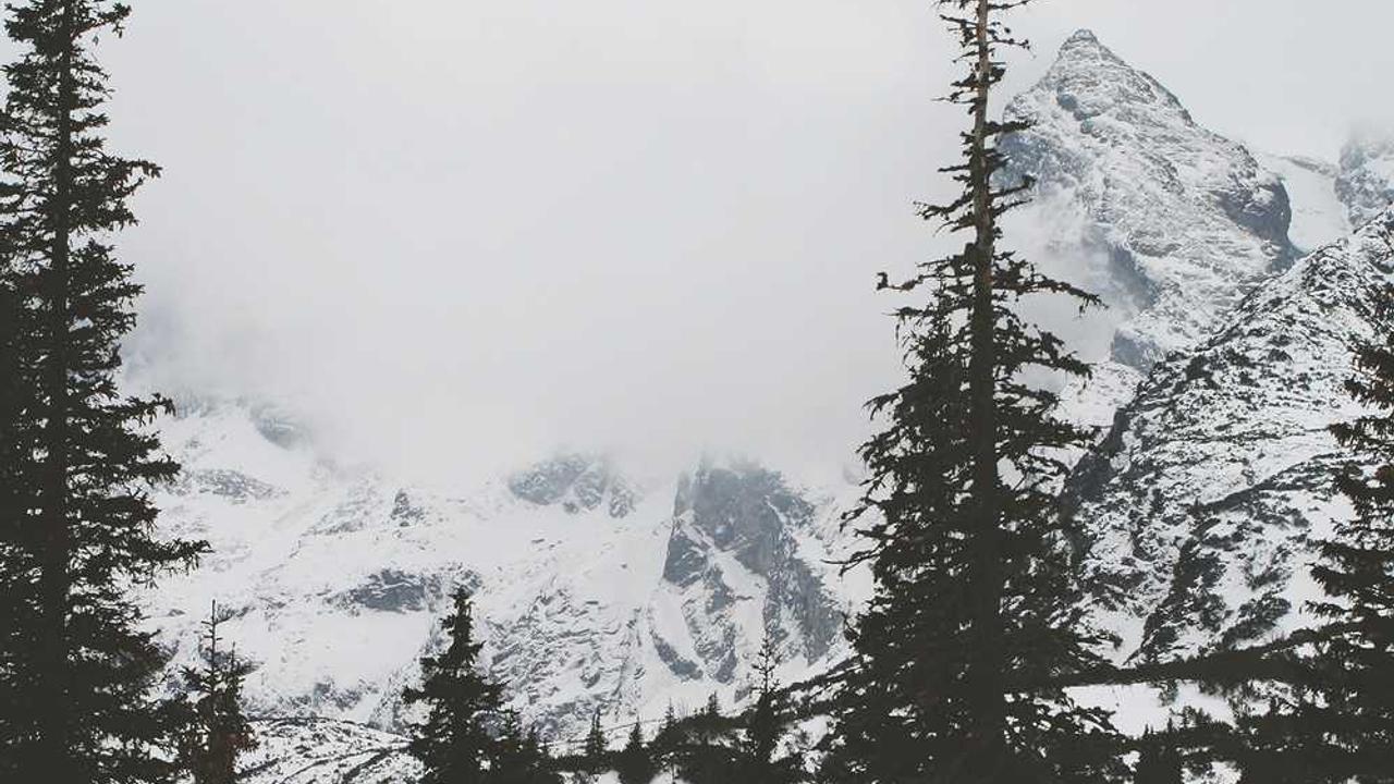 한국전력 2024년 4분기 실적 전망 및 분석: 흑자 기조 유지와 전기요금의 향방은?