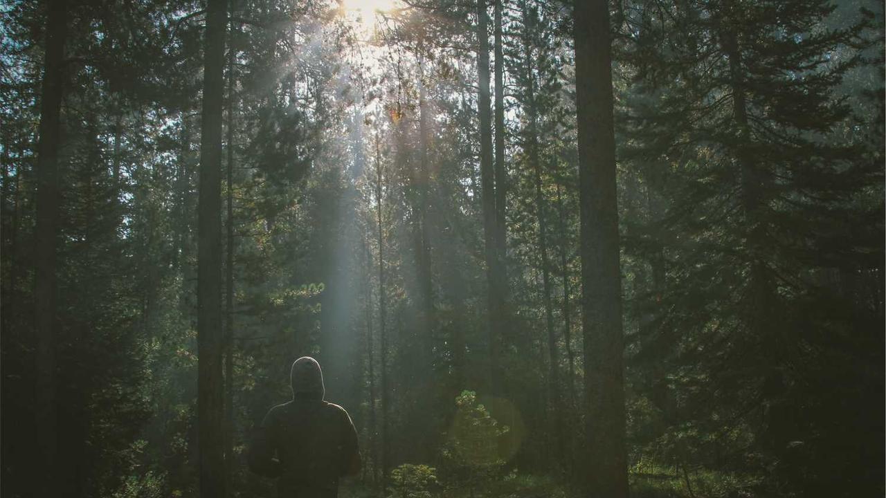 그리팅 식단 추천: 현대그린푸드가 제안하는 건강한 식습관의 모든 것 (가격, 종류, 후기)