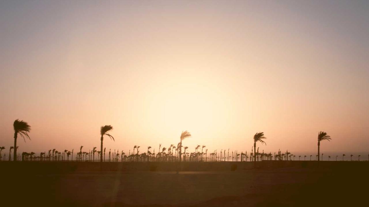 속초 영금정 & 등대전망대: 파도 소리가 연주하는 힐링 여행, 주차부터 일출 명당까지 완벽 가이드