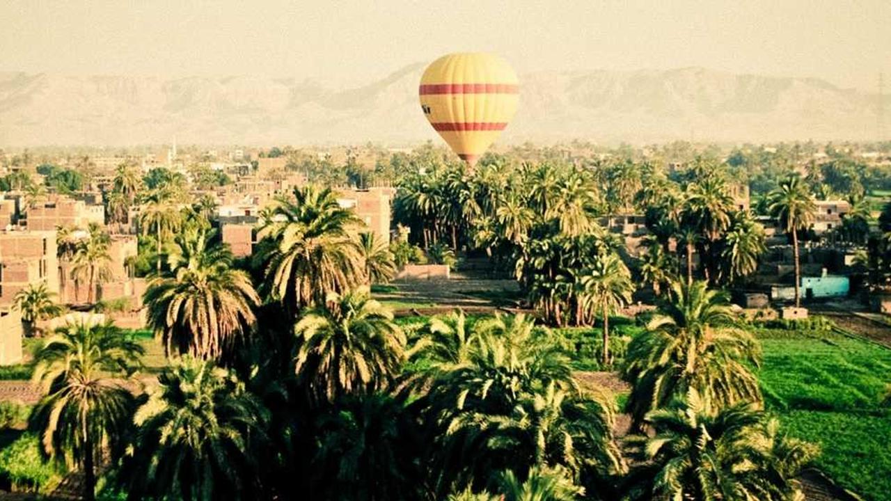 2024 여성 지갑 브랜드 순위 및 연령대별 추천 가이드: 명품부터 가성비까지 완벽 정리