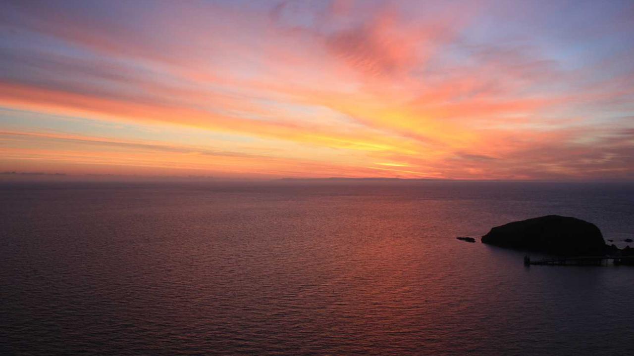 핫식스 부작용, 피곤해서 마셨다가 건강 망친다? 카페인 과다섭취의 진실과 안전한 섭취 가이드