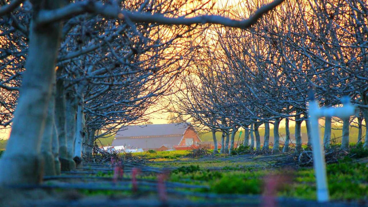 스킨스7 에피: 차가운 어른이 된 그녀, 'Fire' 완벽 분석과 결말 해석