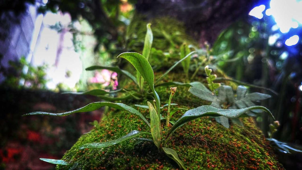 유부초밥 만들기 PPT: 발표용 템플릿 기획부터 레시피 콘텐츠 구성 완벽 가이드