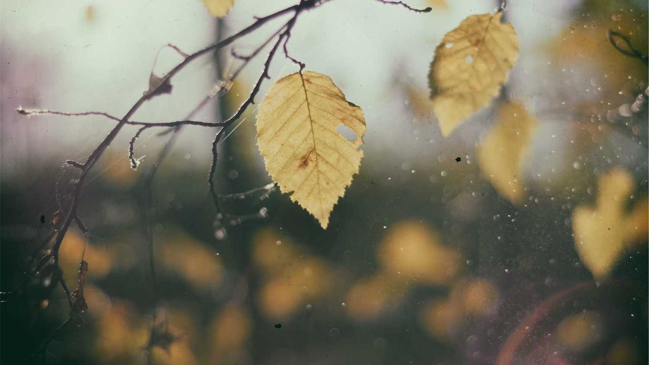 라면 1개 열량의 진실: 종류별 칼로리 순위와 다이어트 중 죄책감 없이 먹는 법