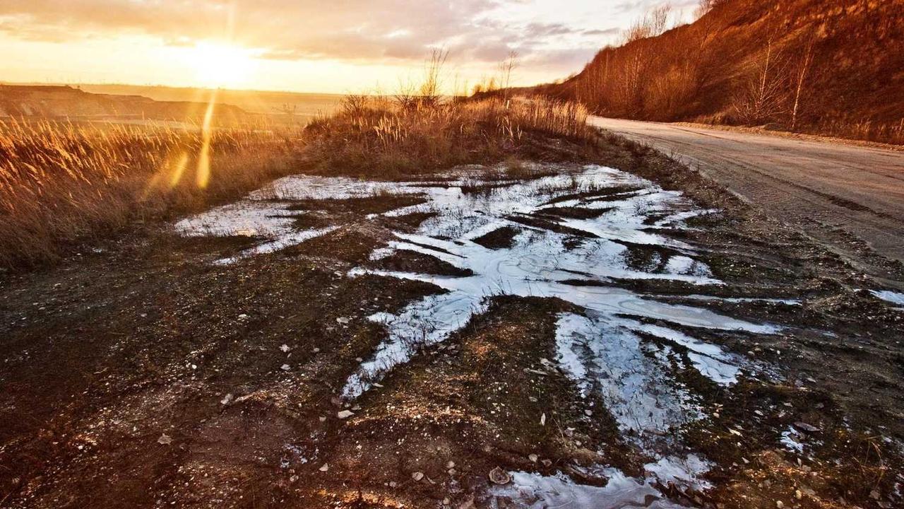 미국에서 한국으로 강아지 데려가기: 검역 서류부터 비행기 탑승까지 완벽 가이드 2024