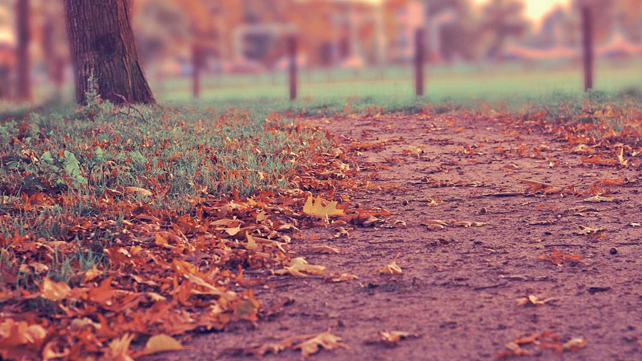 전세자금대출 갈아타기 완벽 가이드: 금리 낮추고 이자 아끼는 실전 꿀팁