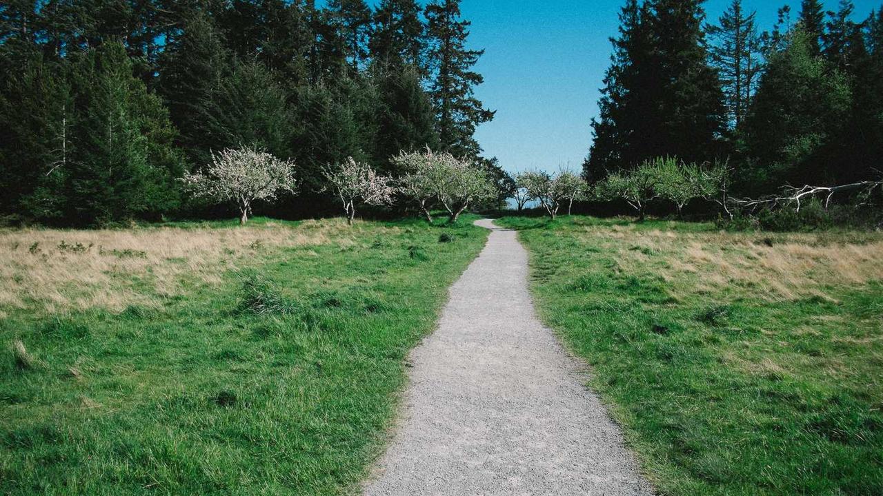 리리앤코 오프라인 매장 위치 총정리! 사이즈 고민 없이 쇼핑하는 법 (방문 전 필독)