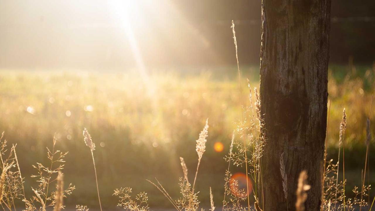 롤렉스 서브마리너 그린 가격 분석: 헐크 vs 스타벅스 vs 커밋 시세와 투자 가치