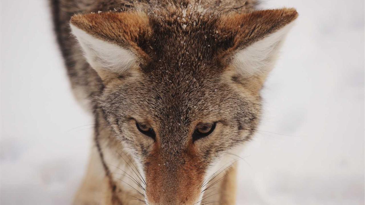 일본 자유여행 패키지 완전 정복: 에어텔부터 세미 패키지까지 실패 없는 선택 가이드