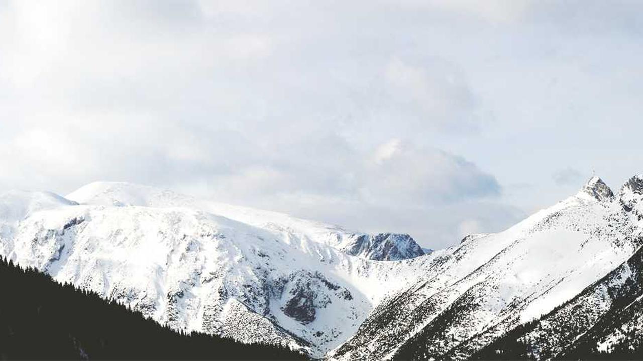 연근차 마시고 설사? 부작용인지 효능인지 정확히 알려드립니다 (위장 건강 필독)