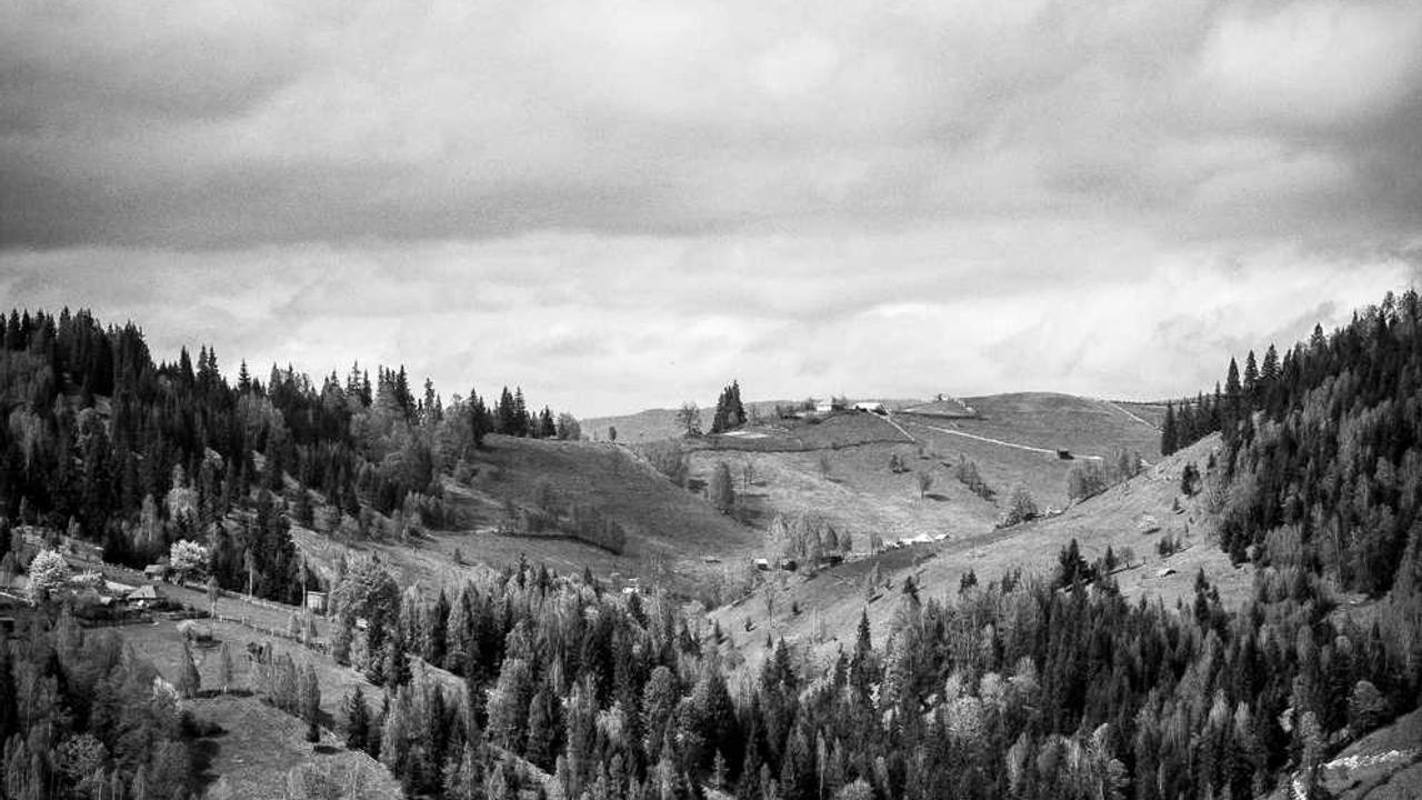 BTS 'Life Goes On' 빌보드 Hot 100 1위 달성! 한국어 가사의 기적과 그 의미 심층 분석