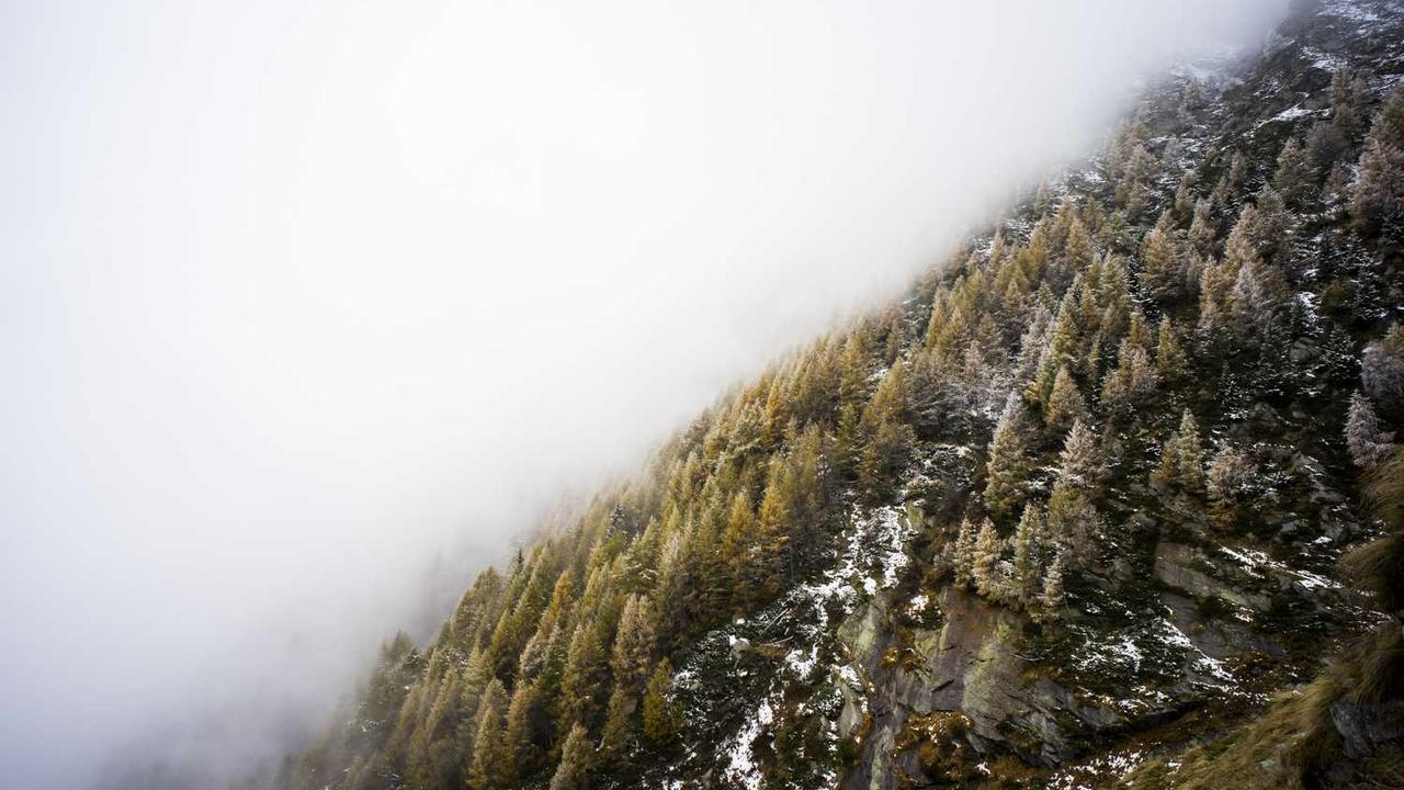 마스크팩 하는 시간, 15분이 골든타임인 이유와 피부 타입별 맞춤 가이드
