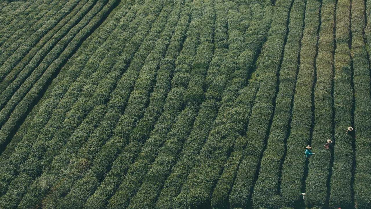 인천 을왕리 해수욕장 완벽 가이드: 일몰 명소부터 맛집, 주차 꿀팁까지 총정리