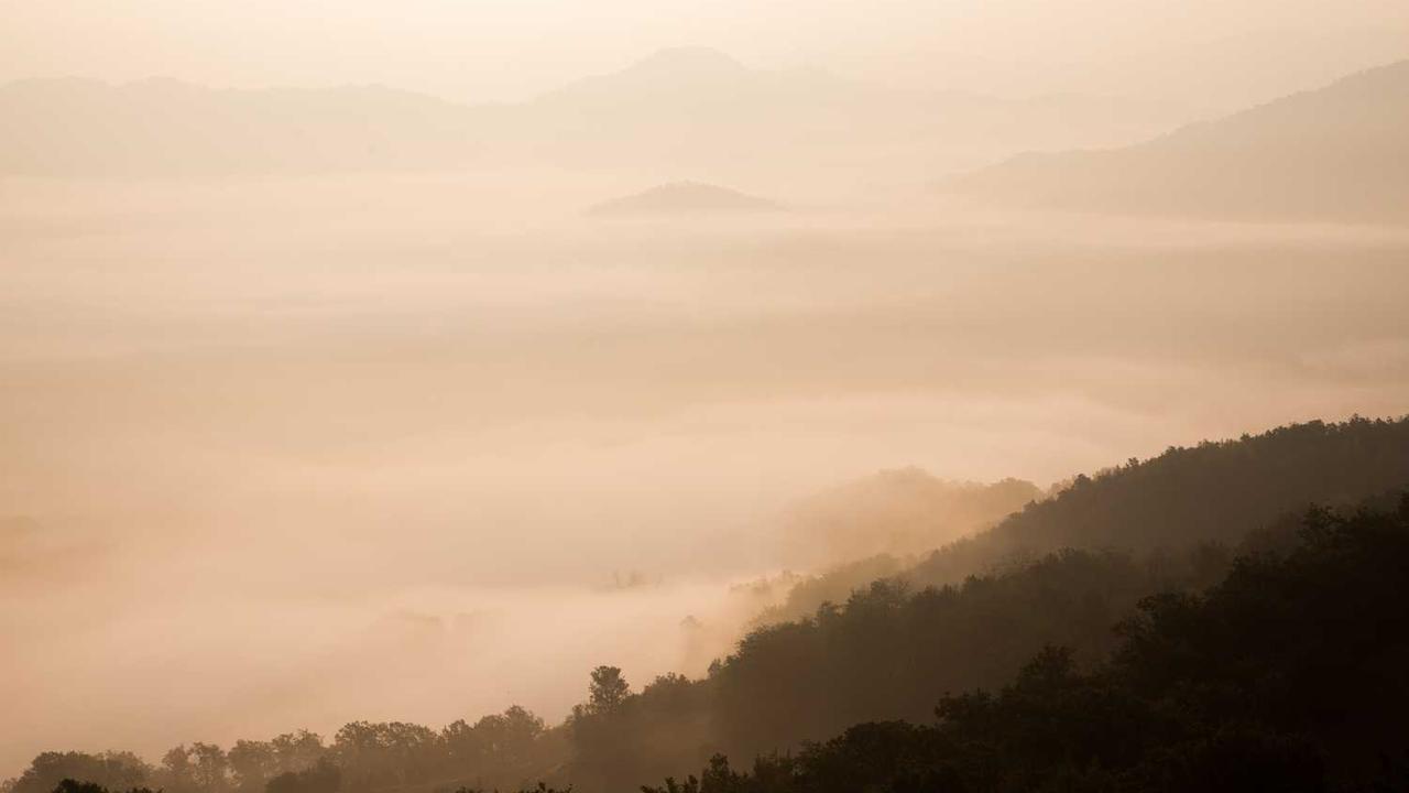 캐리어를 끄는 여자: 차금주의 성공 신화와 다시 보는 인생 드라마 가이드