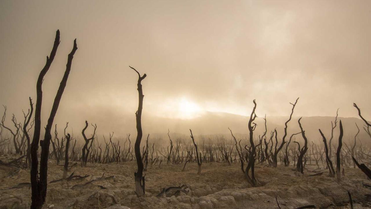 [경주 글램핑장 추천] 천년의 밤을 즐기는 감성 숙소 BEST & 실전 예약 가이드