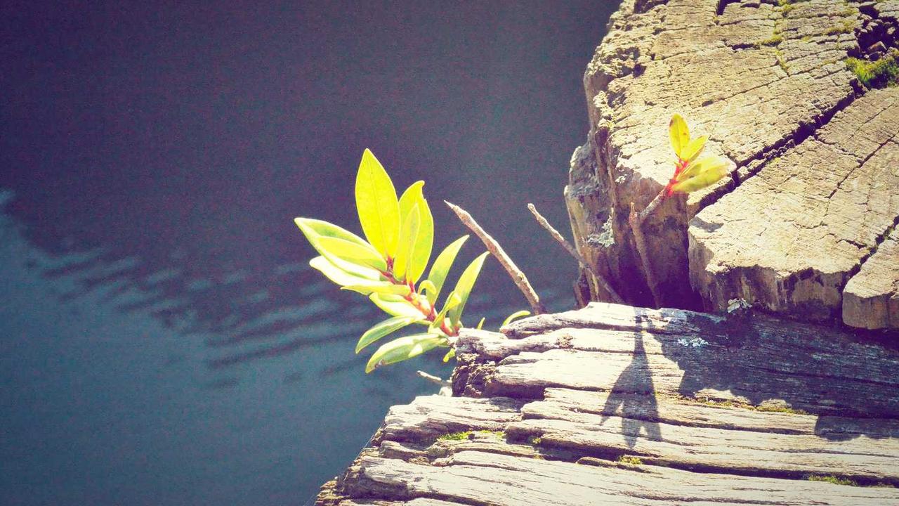 비트코인 토토사이트 유니벳(Unibet) 완벽 분석: 가입부터 입출금, 안전성 검증까지