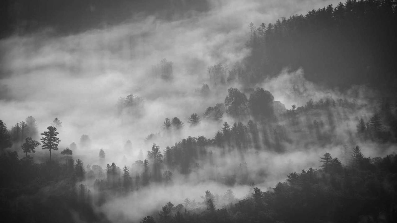 키메라의 딸, 멜로디 나카시안: 1987년 세기의 납치 사건 전말과 그 후의 삶