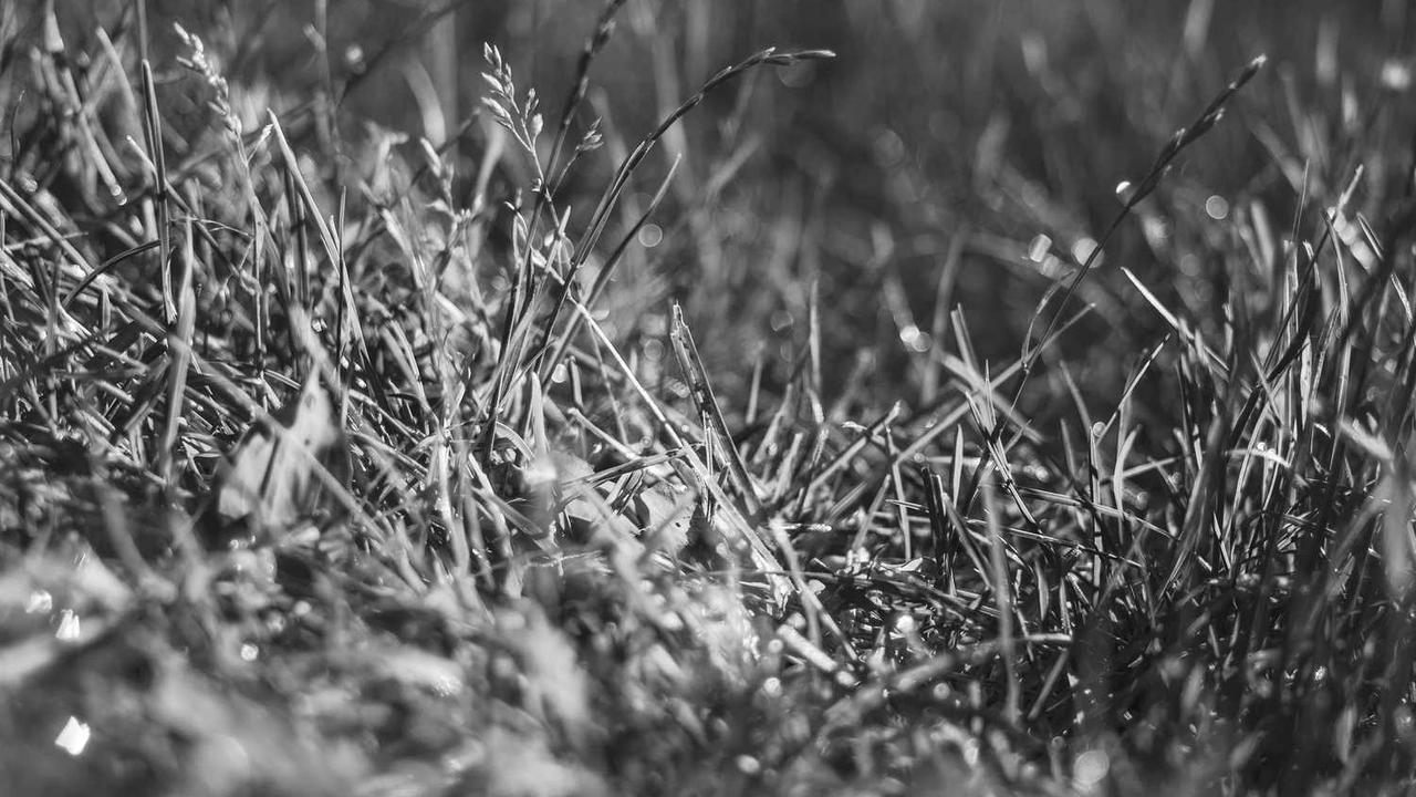 입생로랑 카드지갑 완벽 가이드: 20대 30대 추천 모델, 가격, 정품 구별법 총정리