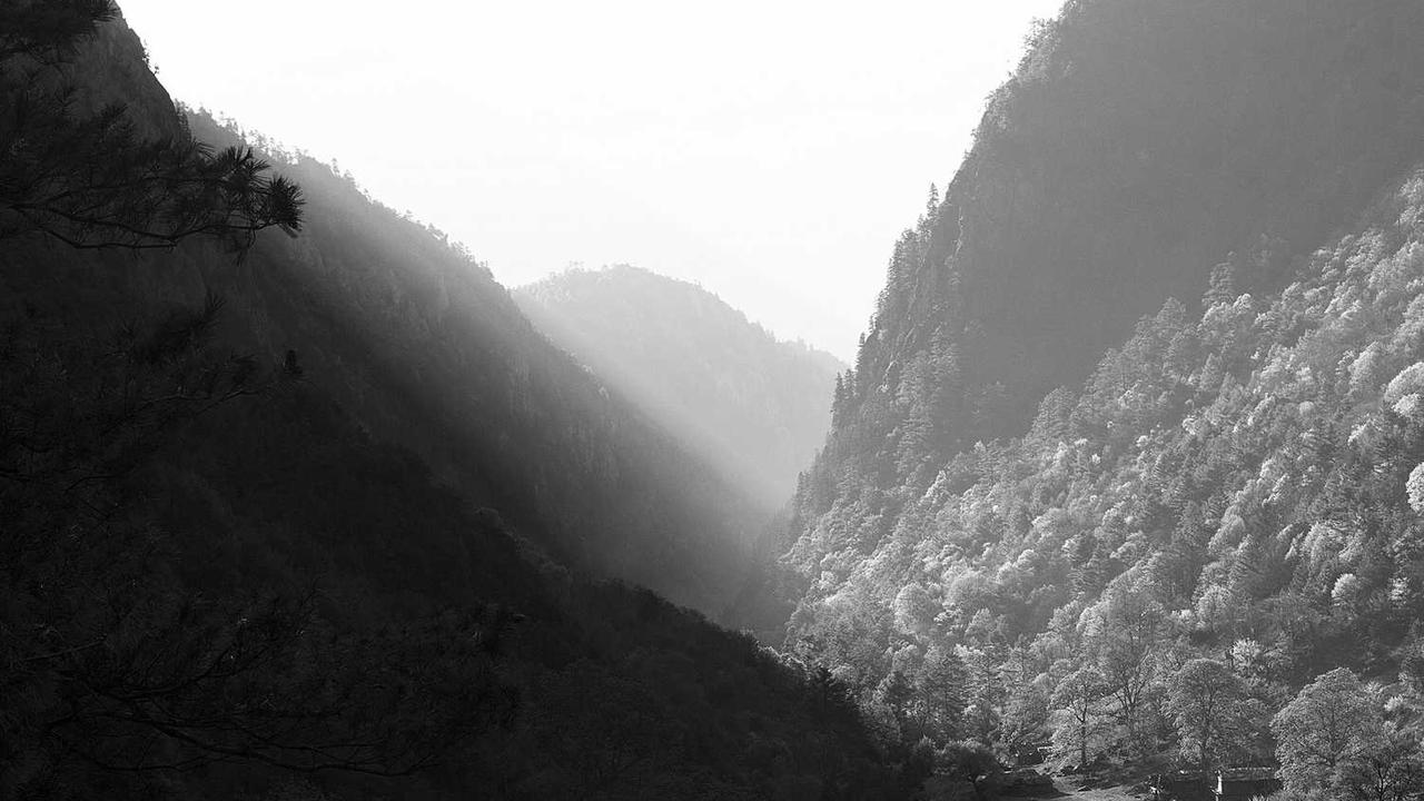 크리스마스 나무 일러스트: 초보자 그리기 가이드부터 무료 도안 활용 팁까지