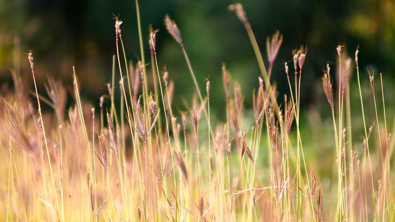 귀환자의 마법은 특별해야 합니다: 줄거리, 등장인물, 애니메이션 정보 총정리 (Mega Review)