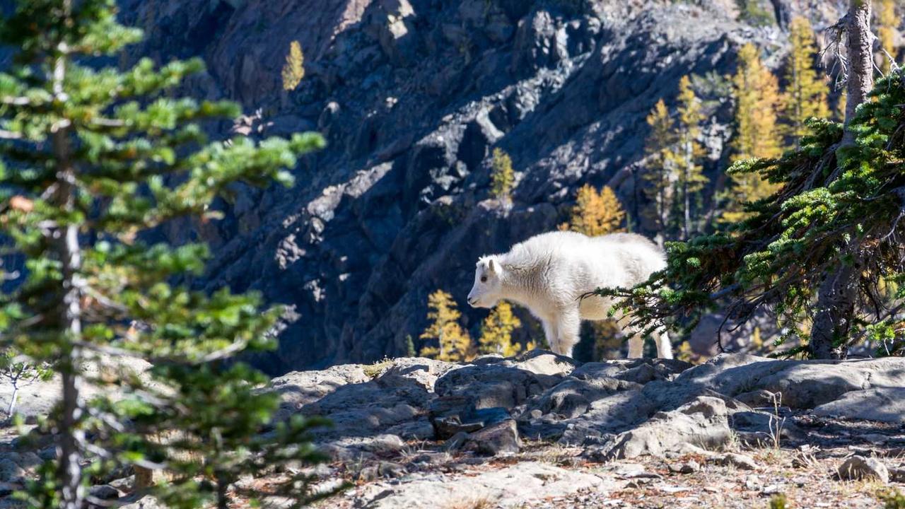 2026 에어비앤비 코리아 완벽 가이드: 실패 없는 감성 숙소 예약부터 합법 이용 팁까지