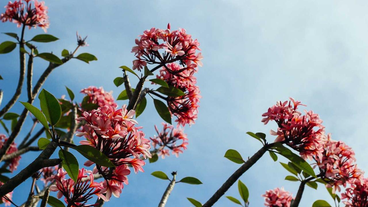 편광 선글라스 완벽 가이드: 눈 피로를 줄이고 시야를 선명하게 만드는 최선의 선택