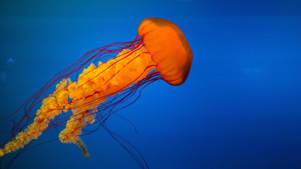 2026년 여자 가죽자켓 코디 가이드: 세련미와 실용성을 모두 잡는 7가지 스타일링 비법