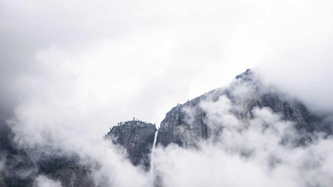 2026 경기도 벚꽃 명소 베스트 7: 개화 시기부터 숨은 드라이브 코스까지 완벽 가이드