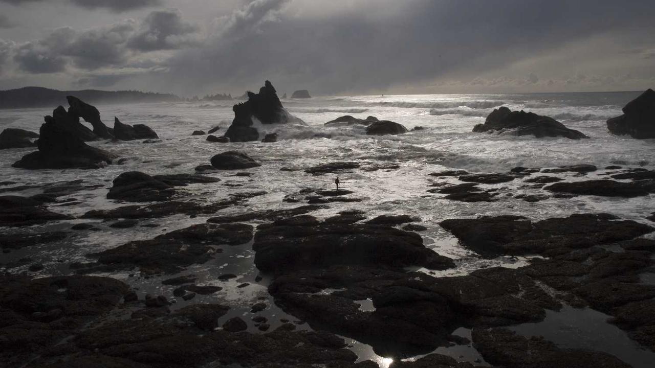 영어-힌디어 번역기 완벽 가이드: 정확도 높은 무료 사이트 및 앱 추천 (English to Hindi Converter)