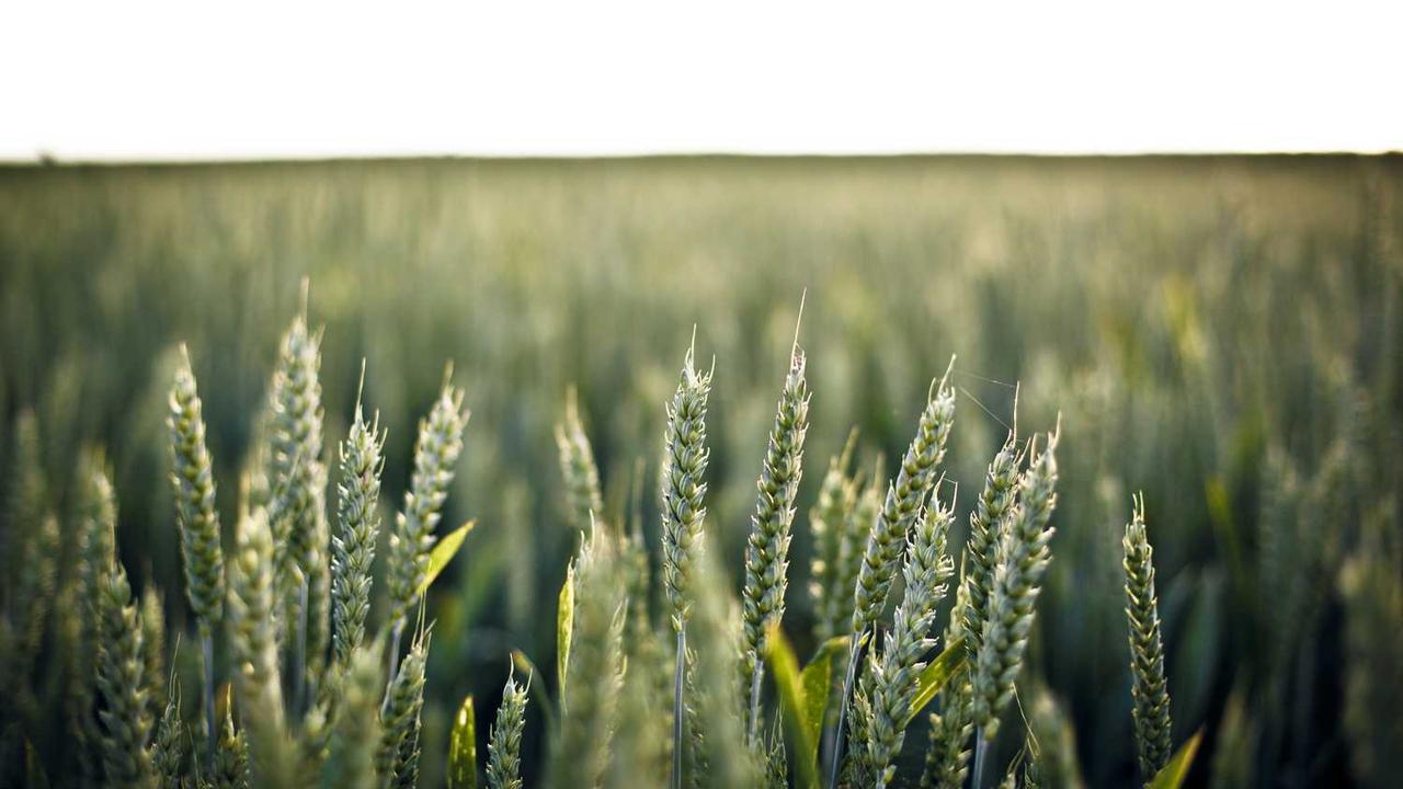 판교 카페거리 맛집 추천 BEST 7 | 현지인이 선정한 데이트 및 모임 핫플 총정리