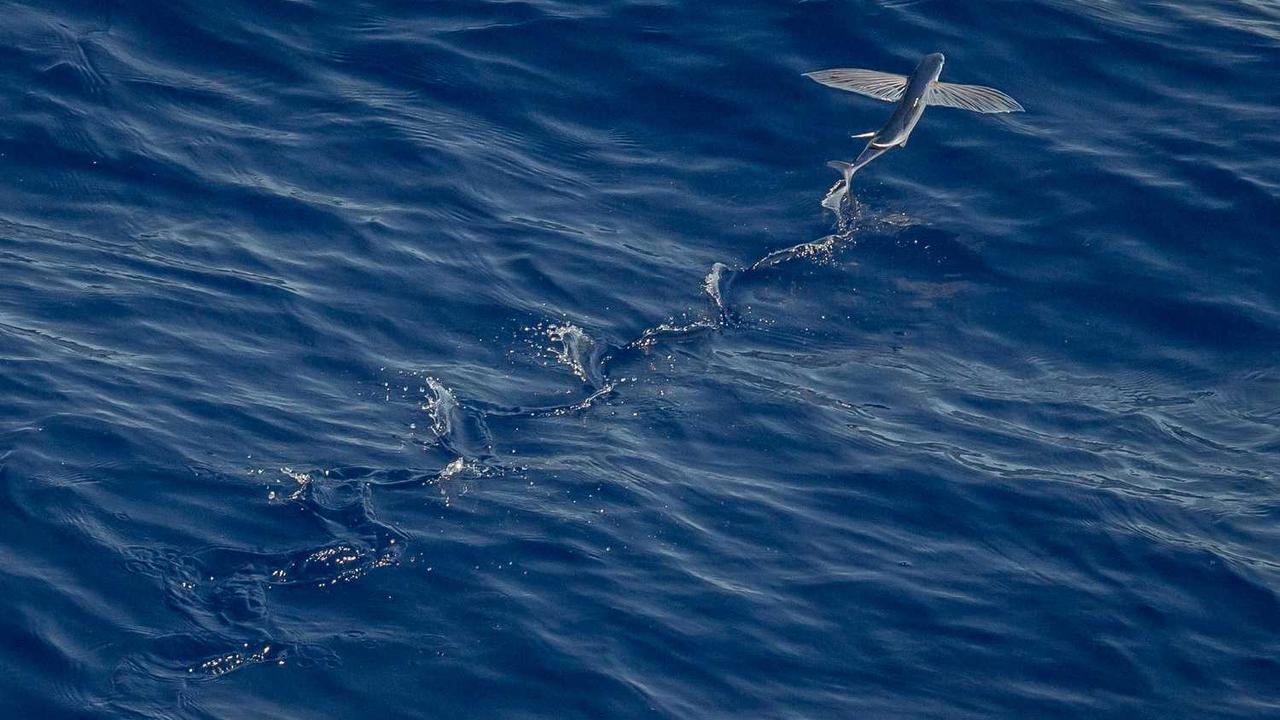 임산부 비타민A 권장량 완벽 가이드: 기형아 걱정 없는 안전한 섭취법