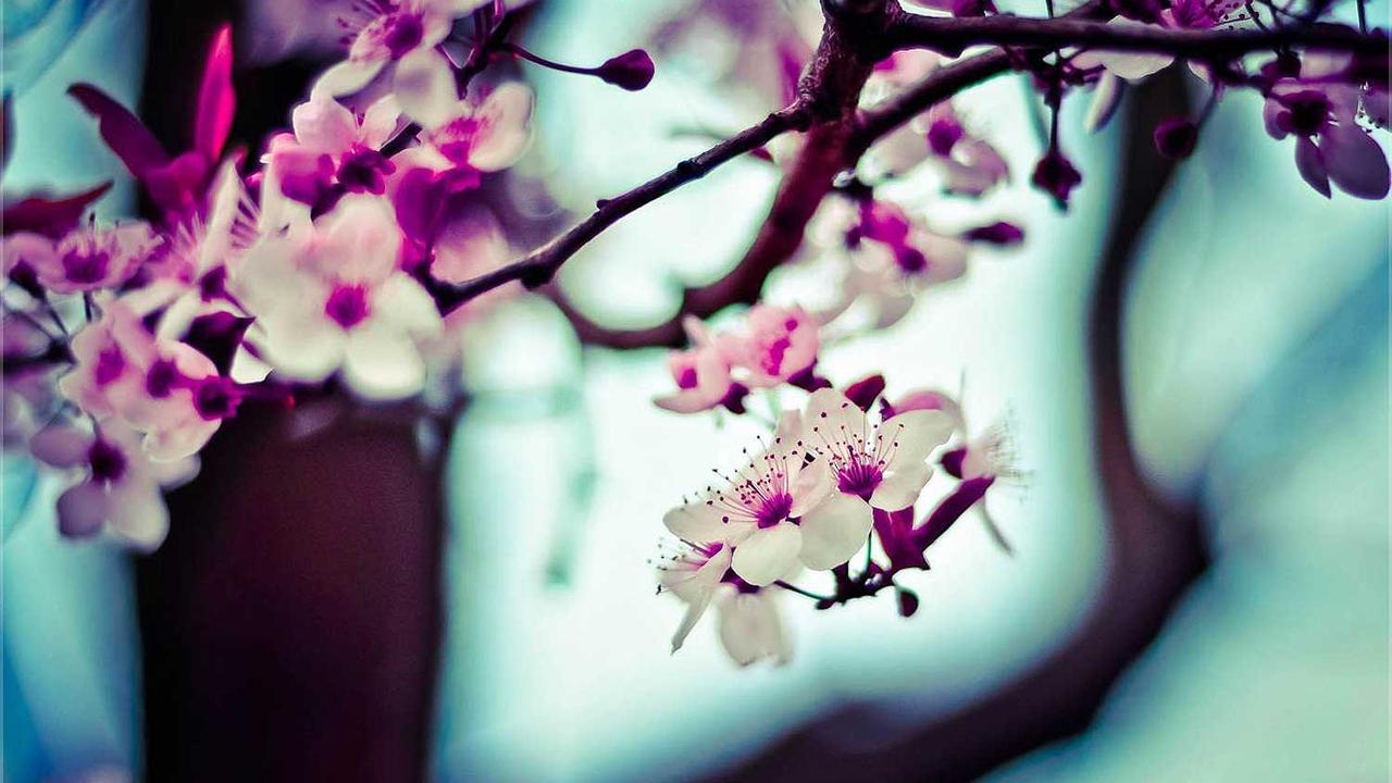 현대모비스 부품 정품 확인법과 효율적인 구매 가이드: 내 차를 지키는 가장 확실한 방법