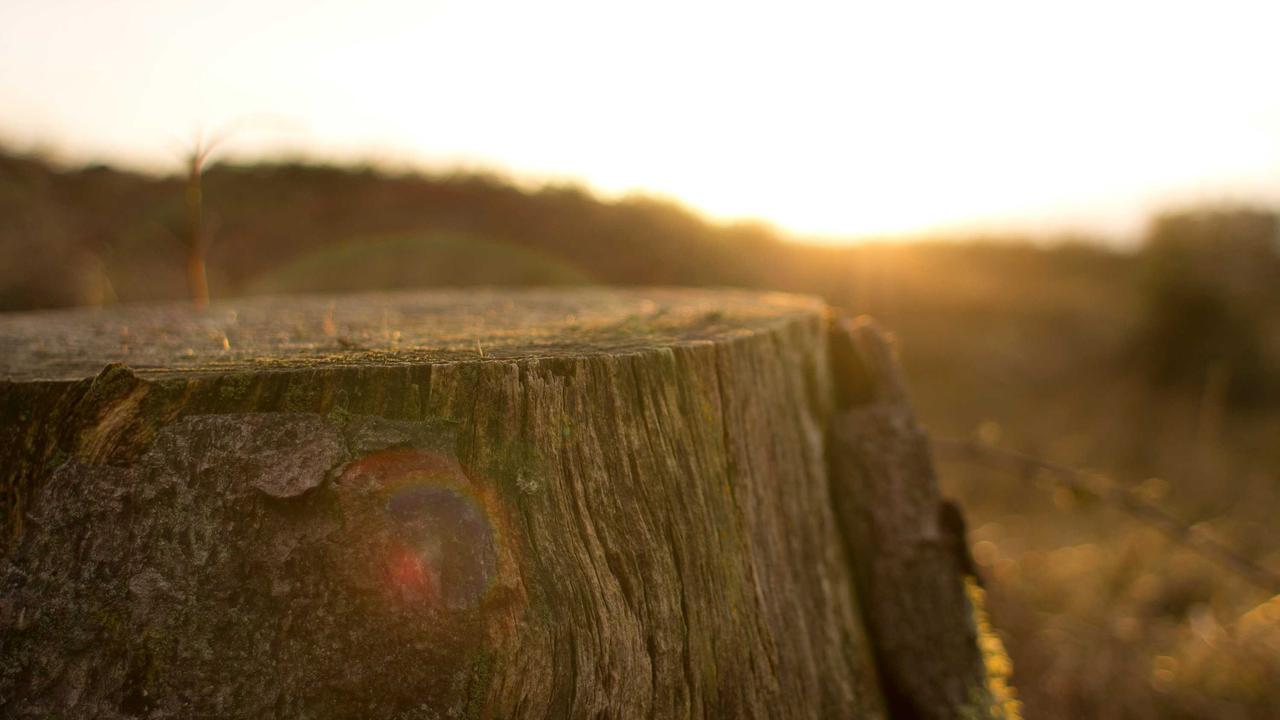 편안함과 스타일을 동시에! 엘리자베스스튜어트 구두 로퍼 완벽 가이드 및 실구매 팁
