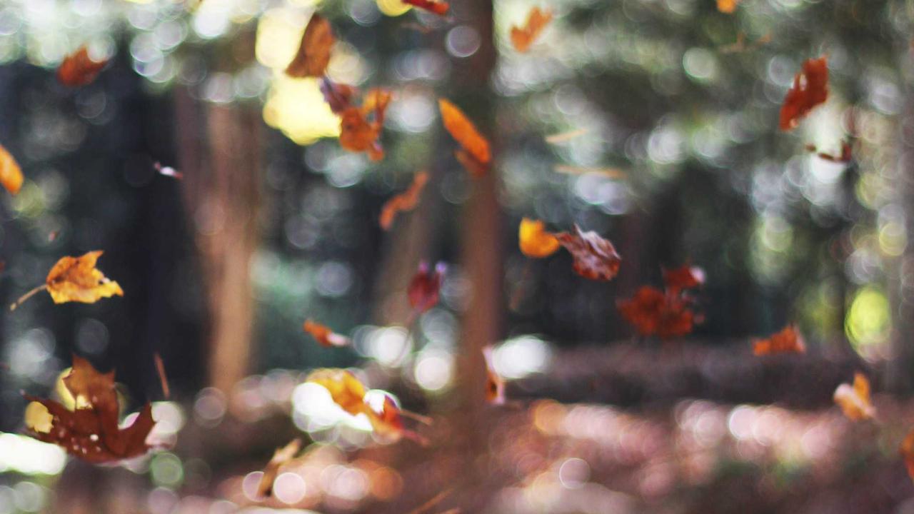 수학1 소단원 수준별 평가 문제 답지 및 효율적인 자기주도 학습 가이드