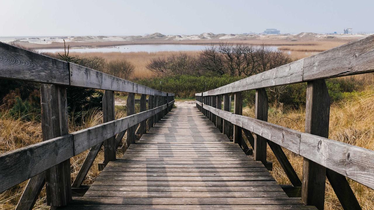 오트만 아자이타르(Ottman Azaitar) 재산 및 연봉 분석: UFC '불도저'의 수입과 성공 비결